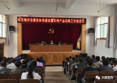 州民族文化调研组到我县开展民族文化发展情况专题调研